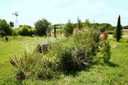 La source