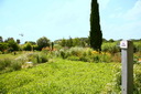 La source